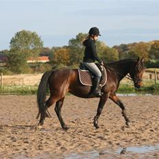 Anden særlig race Khanyze