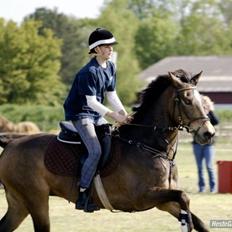 Anden særlig race *Jumping star *