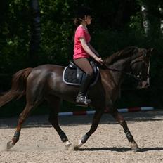 Anden særlig race Ninja