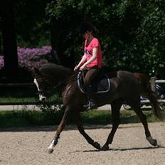 Anden særlig race Ninja