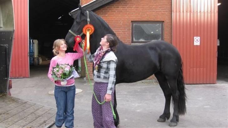 Frieser Vrouwke van Nykro - Blev ster 2009 ! :D  lige kommet hjem billede 4