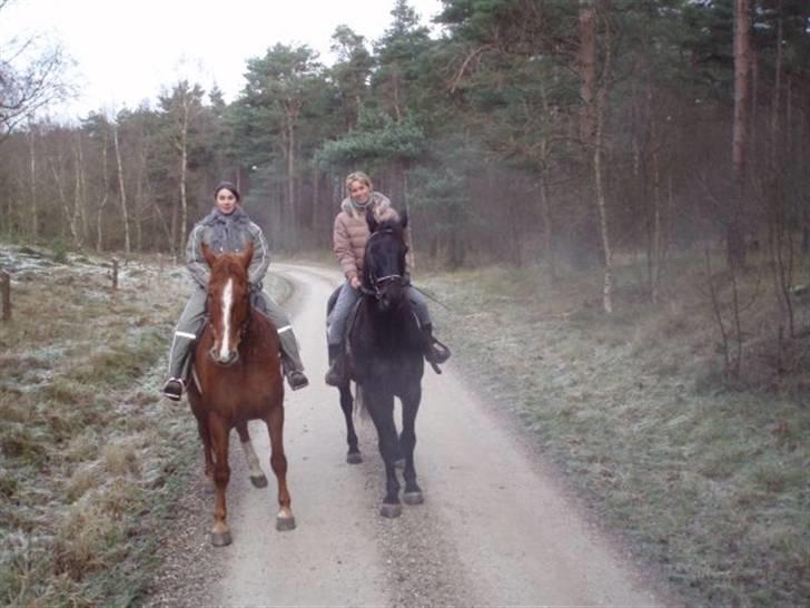 Oldenborg chip nygård - en vinter dag i mols bjerge..stadig søster på chip og mig på skipper billede 4