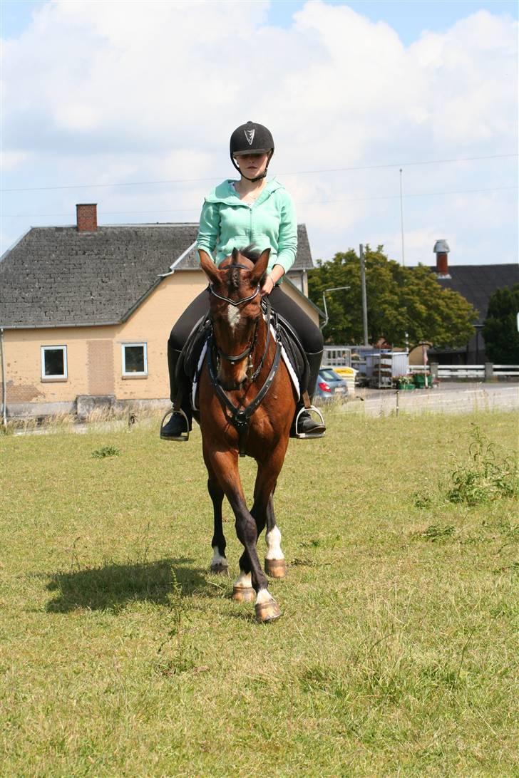 DSP Brunett ( L ) RIP! billede 12