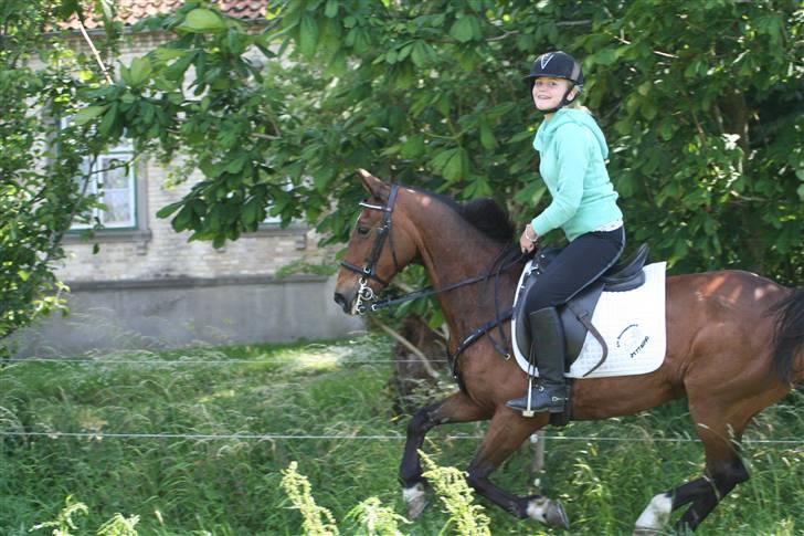 DSP Brunett ( L ) RIP! billede 13