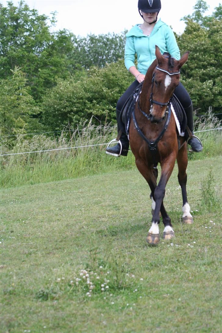 DSP Brunett ( L ) RIP! billede 14