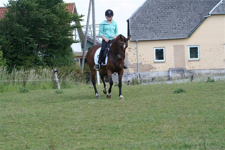 DSP Brunett ( L ) RIP! billede 15