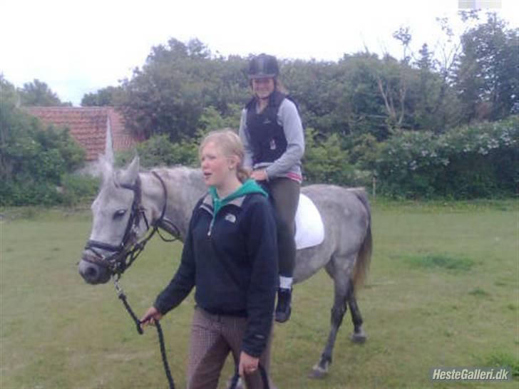 Anden særlig race Shakira   solgt! billede 13