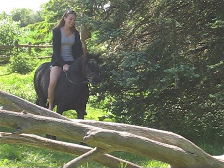 Anden særlig race Molly - Molly og den dejligste pige i verden :) billede 14