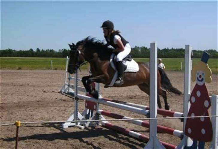 DSP Caliope - Et af de sidste stævner, LB i BJR. Foto: Mummi <3 billede 1