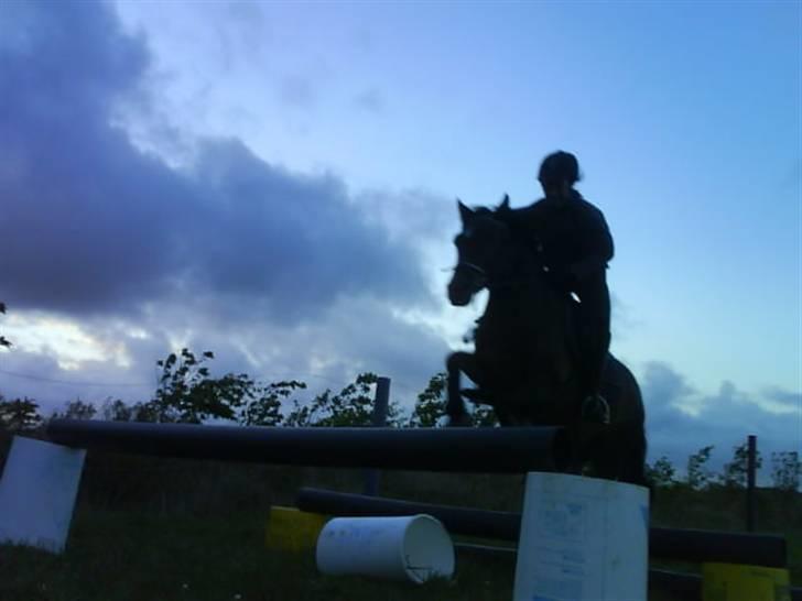 DSP Caliope billede 5