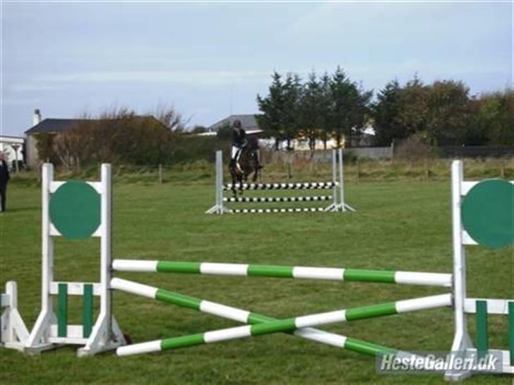 DSP Caliope billede 10