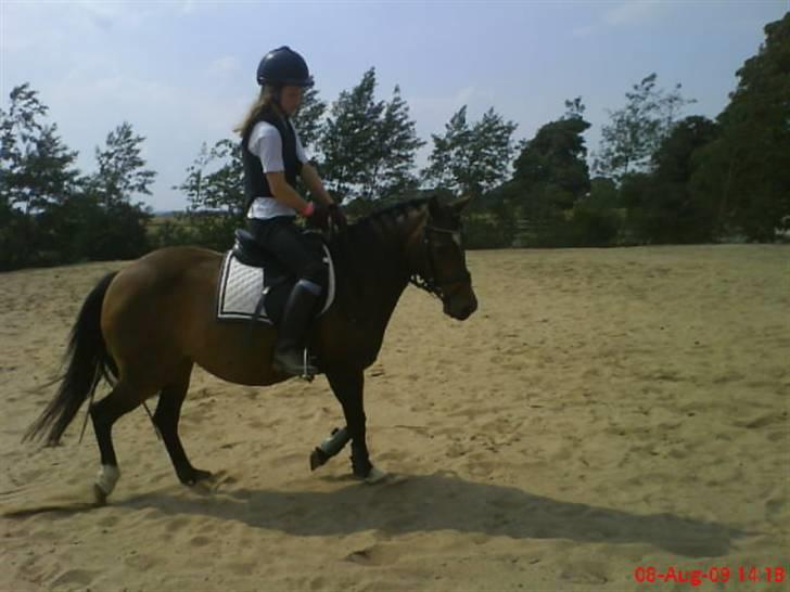 DSP Akita (susans) - Mig og Akita <33333 :-) billede 14