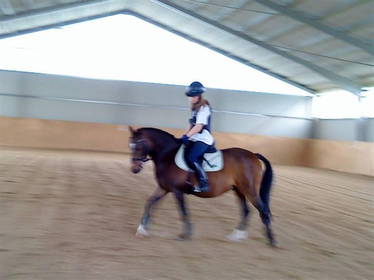 DSP Akita (susans) - Mig og Søde Akita ;D billede 15