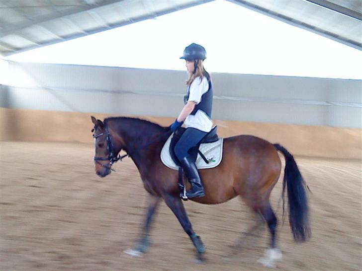 DSP Akita (susans) - Akita og mig!! billede 17