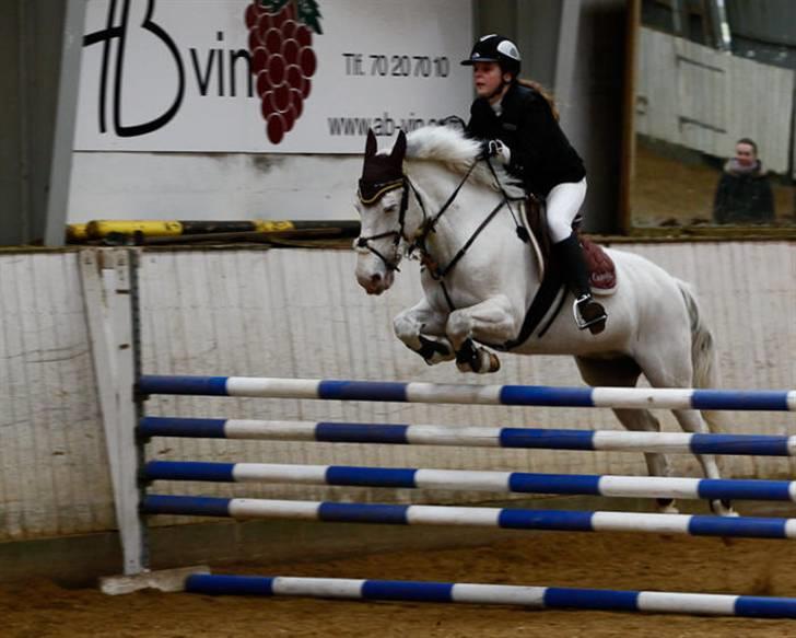 Anden særlig race Sir Camelot - camelot og mig til sponsorstævne :D <3 foto: Flemming billede 15