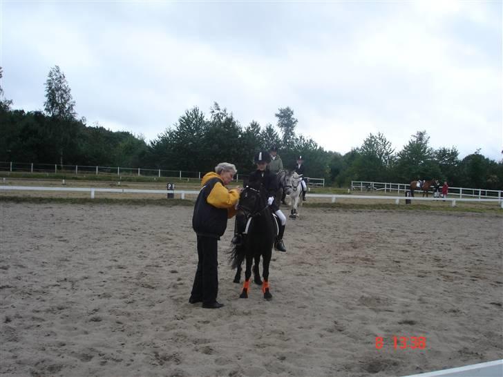 Dartmoor frida Dunemose *solgt billede 17