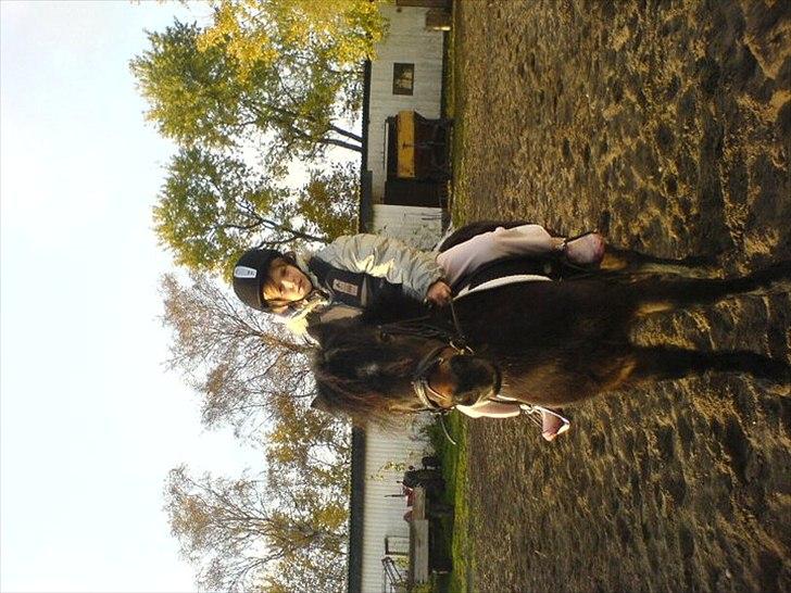 Dartmoor frida Dunemose *solgt billede 19