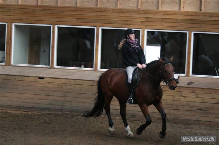 Anden særlig race | Plaisir <3 |  - Anden sidste "rigtige" ride tur på hende! :´(  billede 19