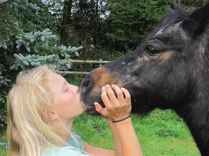 Anden særlig race Molly - Molly :* billede 17