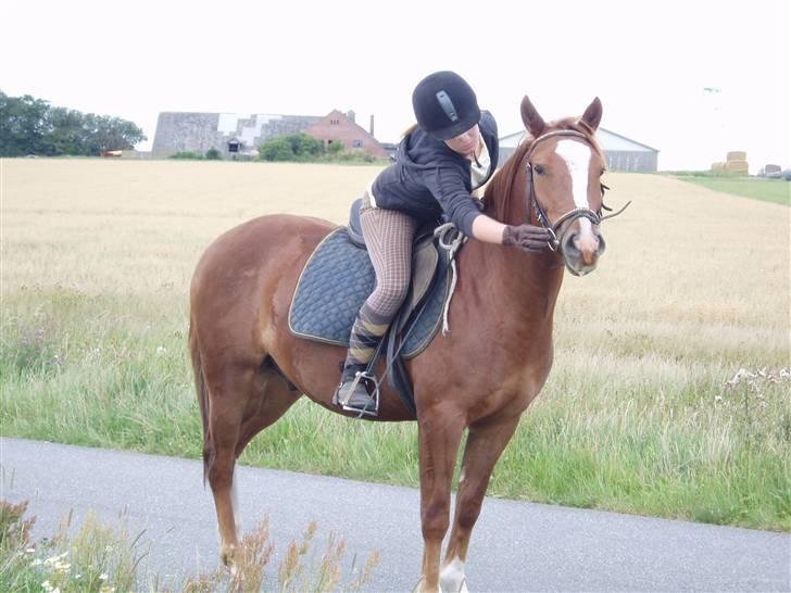 Anden særlig race Shadow - "se mig far" jeg er på min første tur ud i det blå (:  billede 2