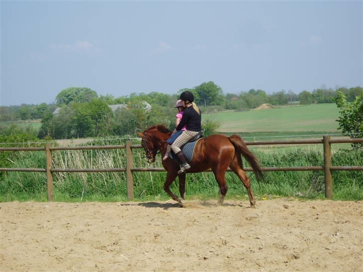Anden særlig race Shadow - Camilla foran (: - sikke fint  billede 5
