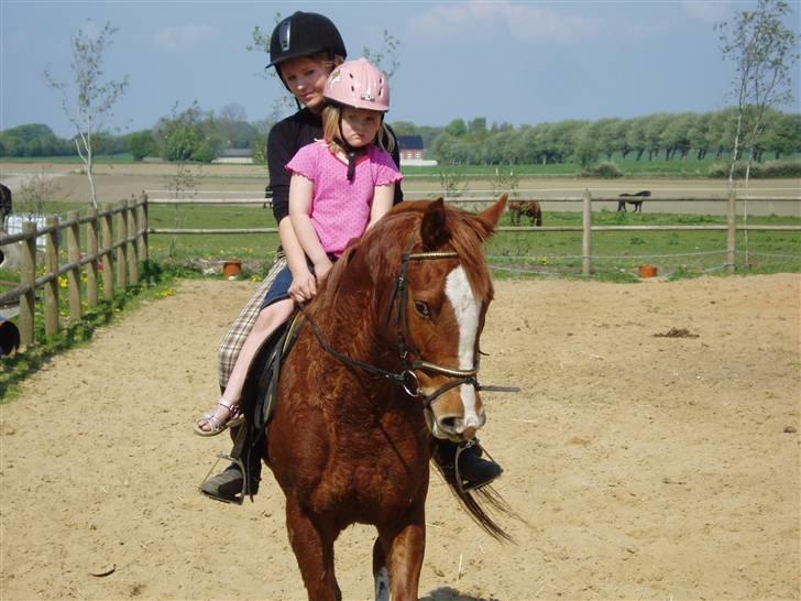 Anden særlig race Shadow - så blev der skridtet af (: uuh jeg sveder (: så gik turen helt hjem derefter billede 8