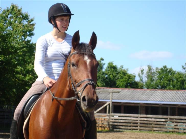 Anden særlig race Cassie :D - en af de første gange jeg rider hende ;) Foto Mea ;D billede 2