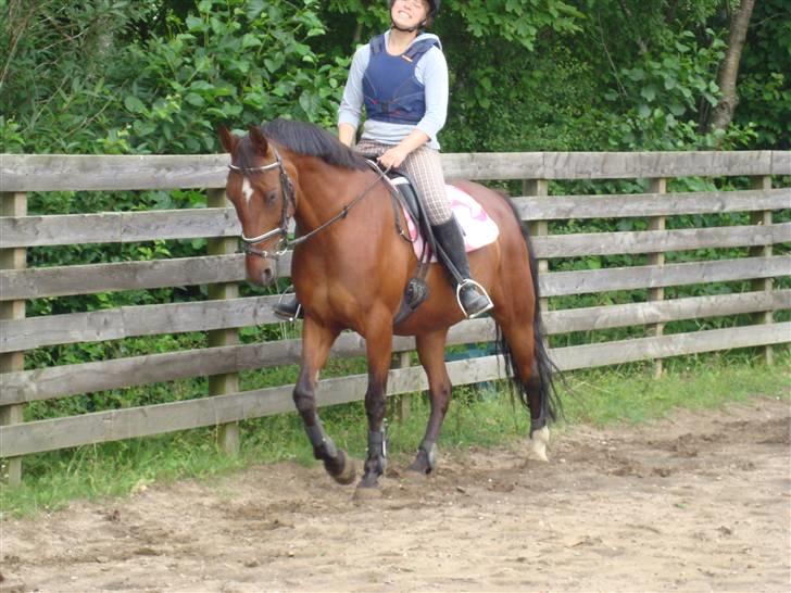 Anden særlig race Cassie :D - Træning i sommerferien :D Foto: Anne ;D billede 8