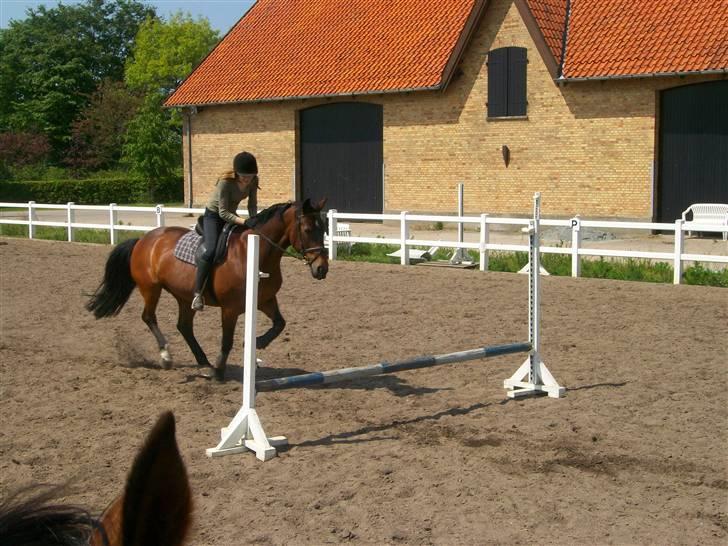 Anden særlig race quinta Soglt - mig og quinta springer (fotograf min søster) billede 12