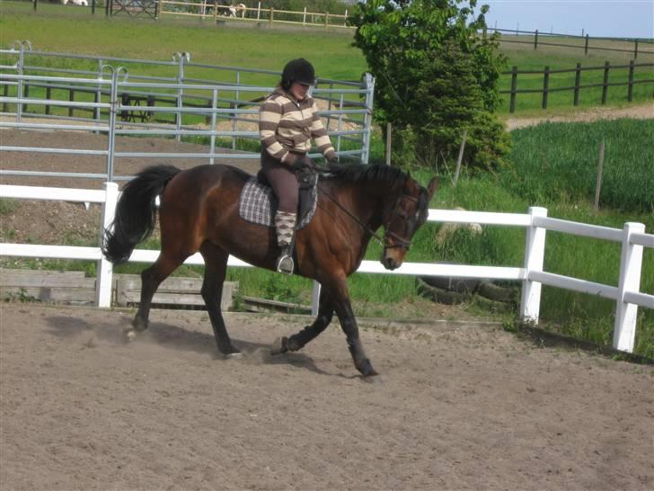 Anden særlig race quinta Soglt - min søster prøver quinta  billede 14