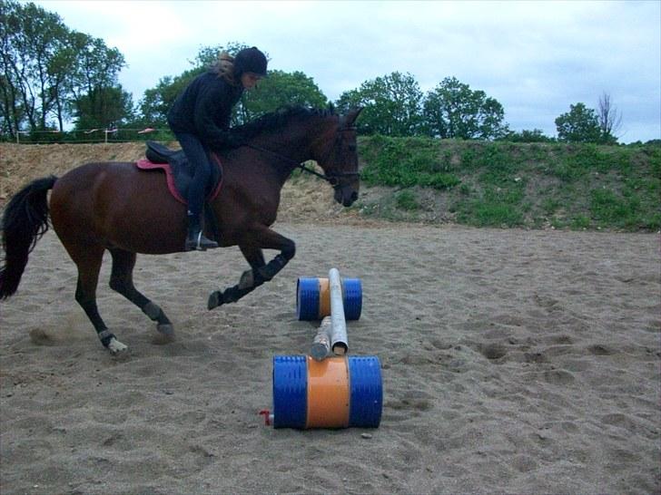 Anden særlig race quinta Soglt - vi springer lidt (fotograf min søster) billede 15