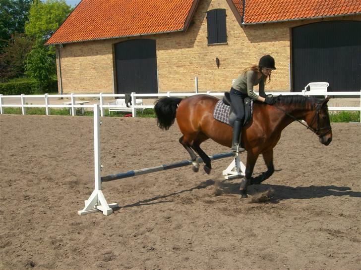Anden særlig race quinta Soglt - vi springer lidt (fotograf min søster) billede 16