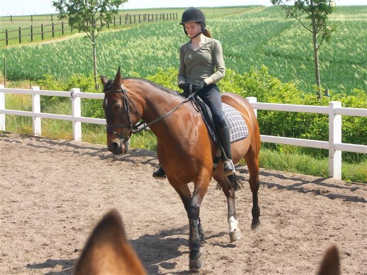 Anden særlig race quinta Soglt - fedt billed af quinta (fotograf min søster) billede 17