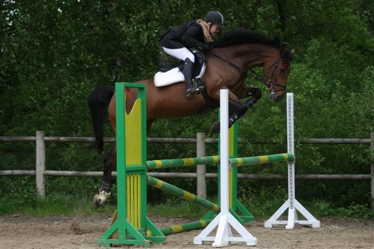 Holstener Carmen billede 6