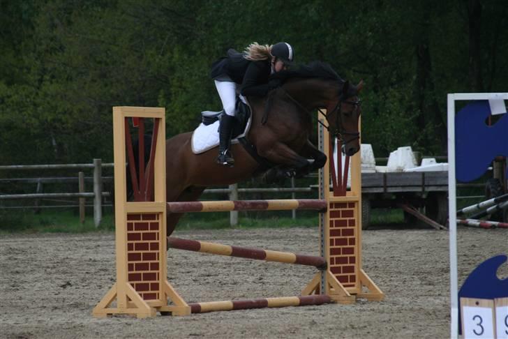 Holstener Carmen billede 9