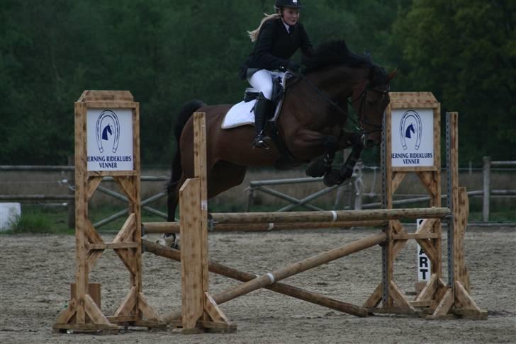 Holstener Carmen billede 10