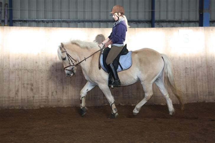 Anden særlig race Coka - GAMMEL PART - taget af Tit (: <3 billede 10