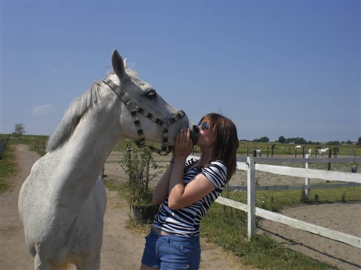 Anden særlig race Chagall - sol, sommer & Chagall. kan det blive bedre? <3 foto: katrine billede 18