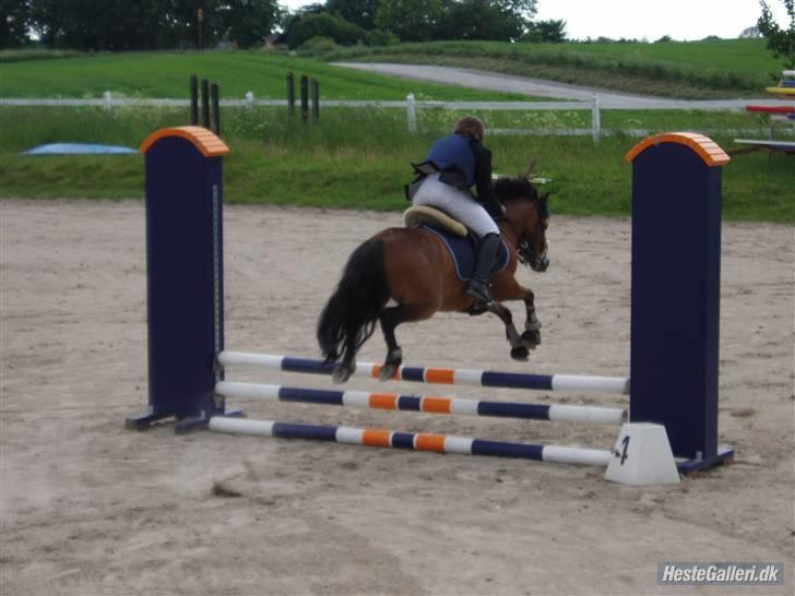 Anden særlig race Robin - * solgt * ! <3 d: - " når enden er god´ , er alting godt !" ;D haha" billede 15