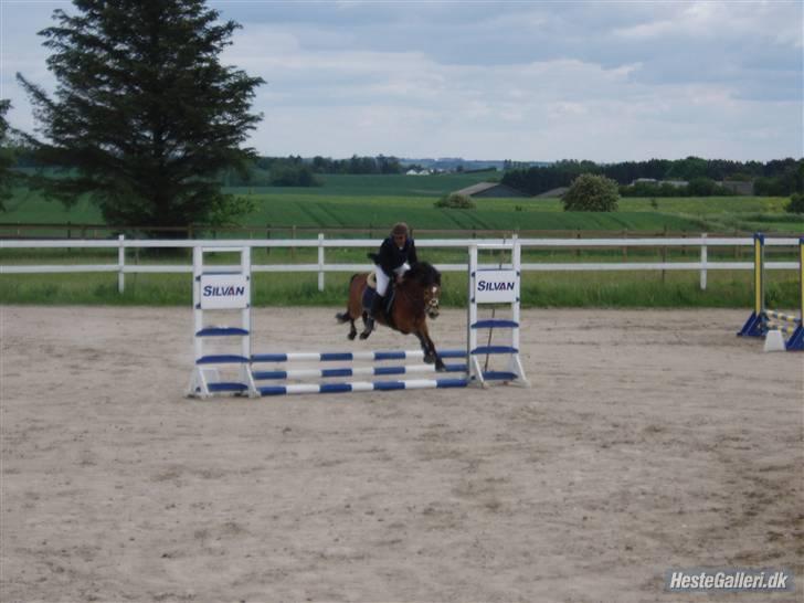 Anden særlig race Robin - * solgt * ! <3 d: billede 16