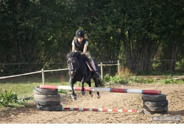 Anden særlig race FREJA billede 6
