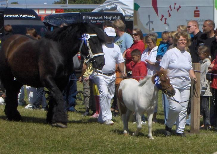 Dansk Miniature Egehøj's Casino Z - Kampen om æres præmierne, lille Casino i stort selskab  billede 8