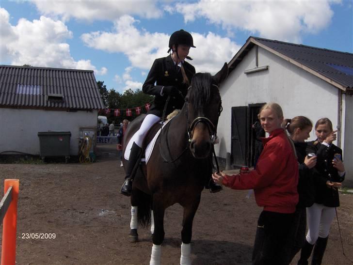 Anden særlig race Babuska ( MIN PIGE!!!) billede 2