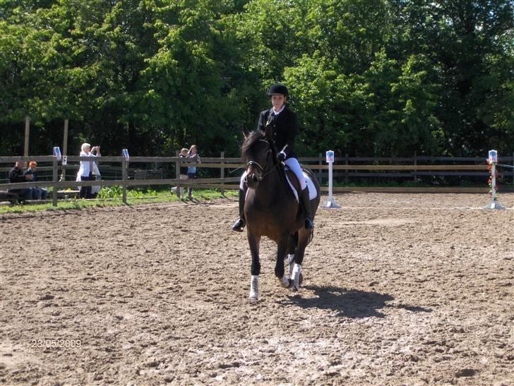 Anden særlig race Babuska ( MIN PIGE!!!) billede 4