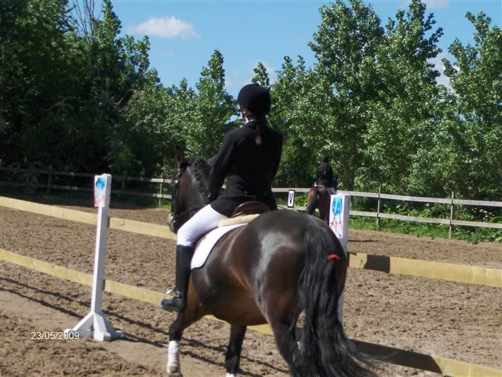 Anden særlig race Babuska ( MIN PIGE!!!) - OBS!!! Rød sløjfe, løse bagben!!!!!!! billede 5