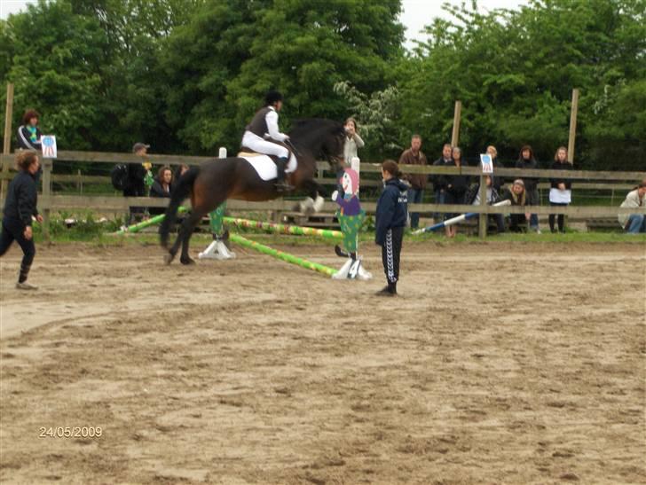 Anden særlig race Babuska ( MIN PIGE!!!) - Hún springe skide godt!!! elsker at springe på hende!! billede 6