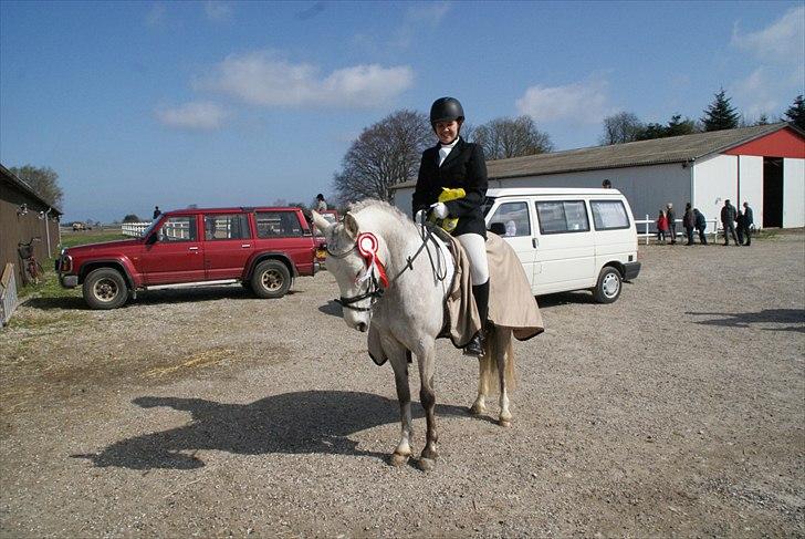 Welsh Pony (sec B) Fjordvangens Evian - La1 billede 11