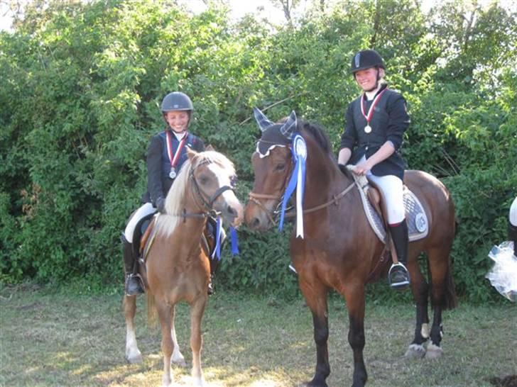 Welsh Cob (sec D) Gribvads Leading Silver - Der har vi jo mine to stjerner :) Speedy (med Amalie) og Silver (med Tanja) billede 7