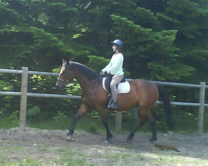 Traver Annabell billede 18