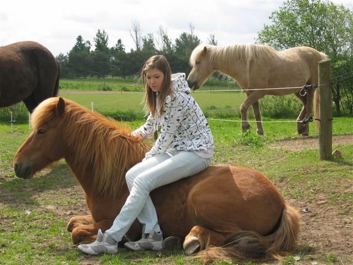 Islænder Rós fra Sauðanesi - Rós og Mig <3 Jeg Elsker Dig Skat :-* billede 8